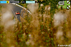 DN36C_0981HRD.jpg