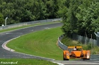 Caparo T1 Pflanzgarten