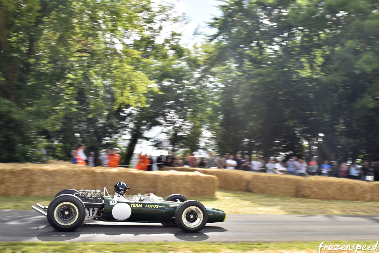 Damon Hill Lotus 49