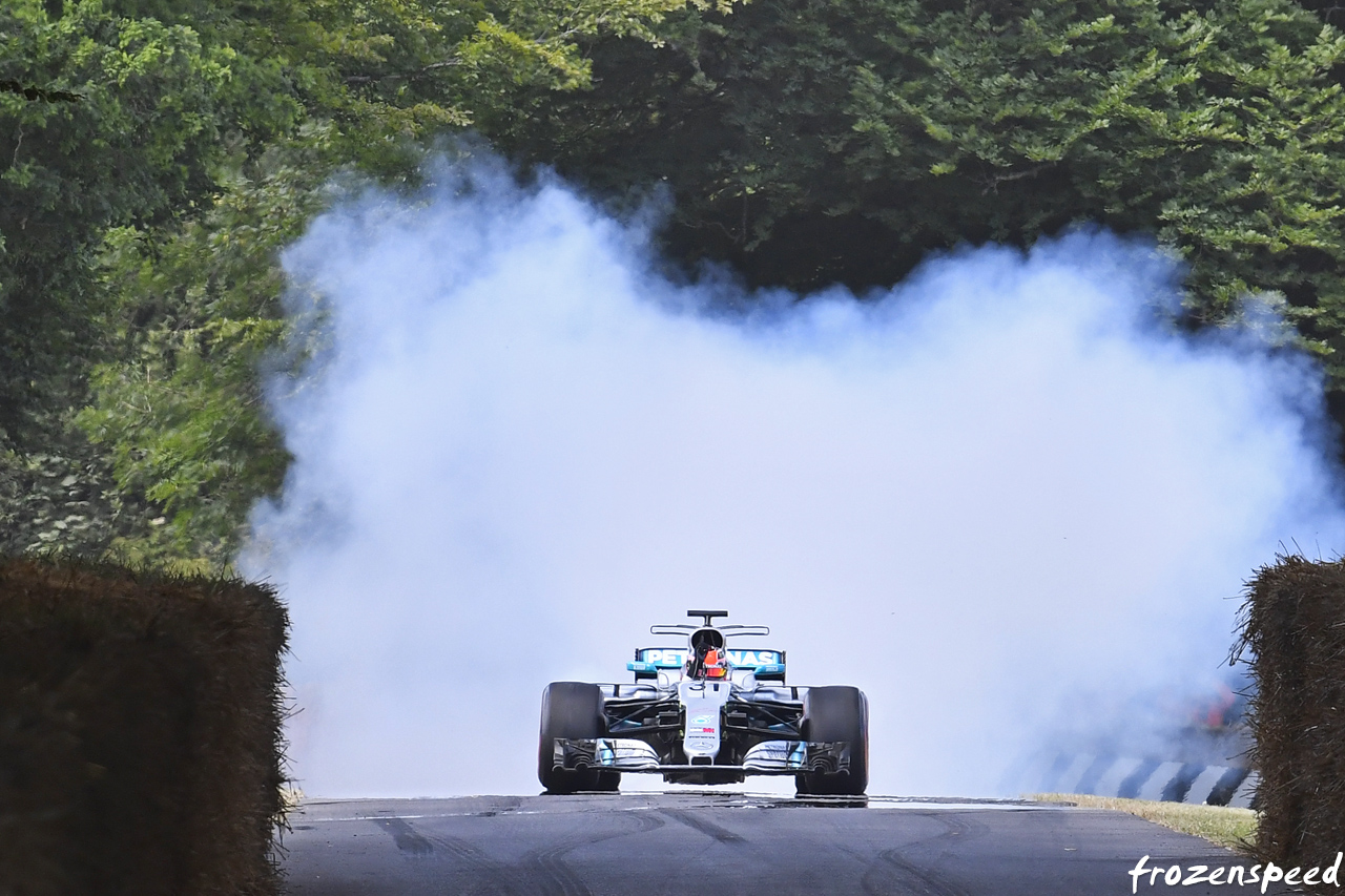 Mercedes F1 burnout