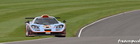 Gulf Davidoff McLaren F1 GTR