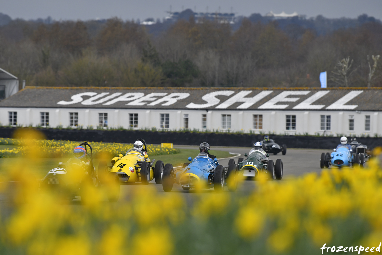 Super Shell daffodils