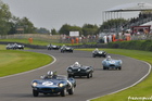 Jaguar D-type race