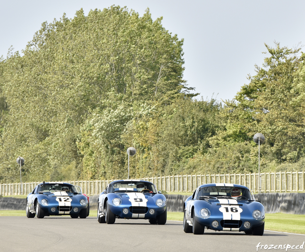 Cobra Daytona Coupe