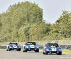 Cobra Daytona Coupe