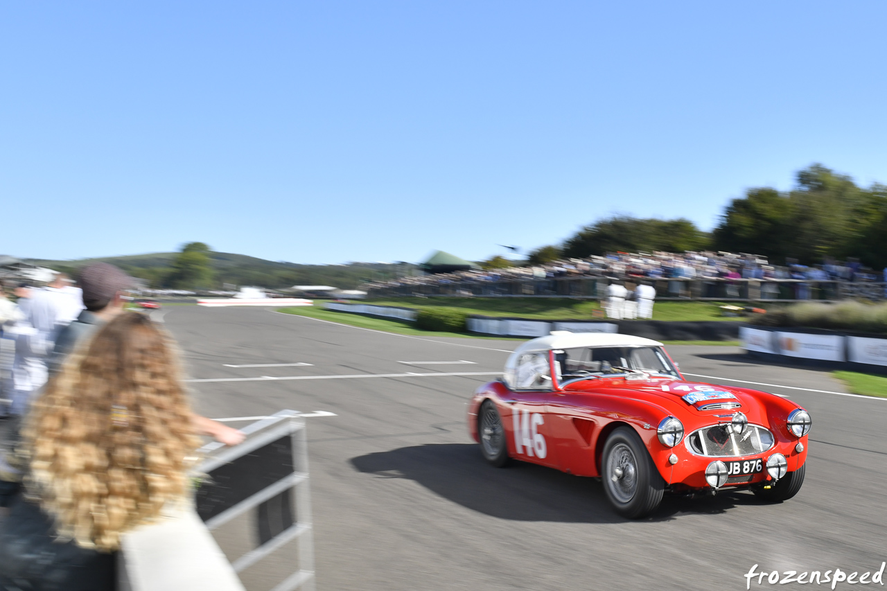 Austin Healey pitwall