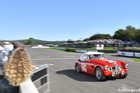 Austin Healey pitwall