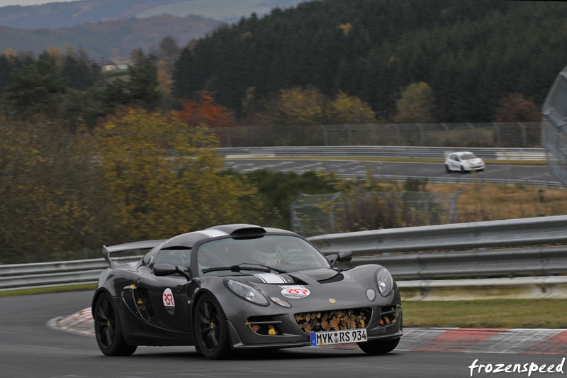 Exige leaves