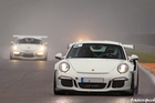 GT3RS vs GT3 Cup