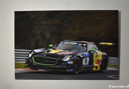 SLS Attack 2015 limited edition canvas